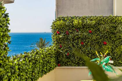 Winter Immobilier - Appartement - Nice - 1c5ec473693d249c874c97671202d6d7_0535c7bc4f_1920