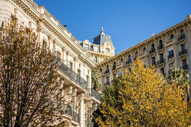 Winter Immobilier - Quartier Cimiez à Nice  - Architecture_CIMIEZ